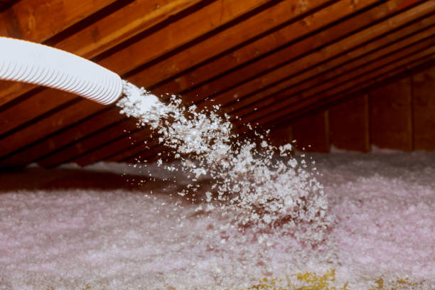 Best Wall Insulation Contractor  in Holly Hill, FL