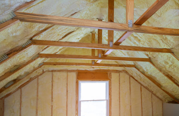 Trusted Holly Hill, FL Insulation Contractor Experts