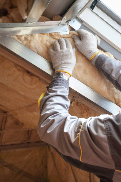 Insulation for New Construction in Holly Hill, FL
