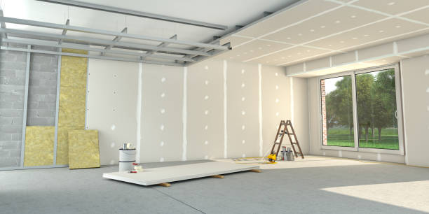 Best Cellulose Insulation  in Holly Hill, FL