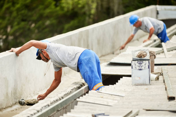 Best Crawl Space Insulation  in Holly Hill, FL