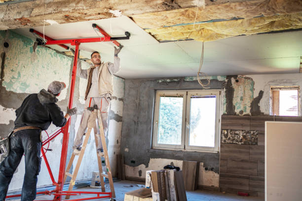 Best Insulation Repair Services  in Holly Hill, FL