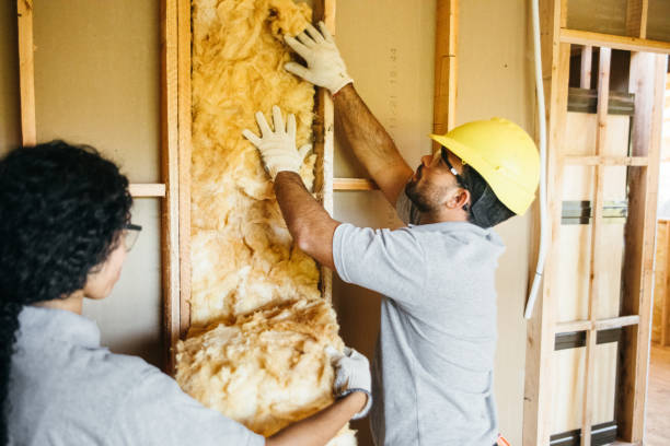 Best Insulation Contractor Near Me  in Holly Hill, FL