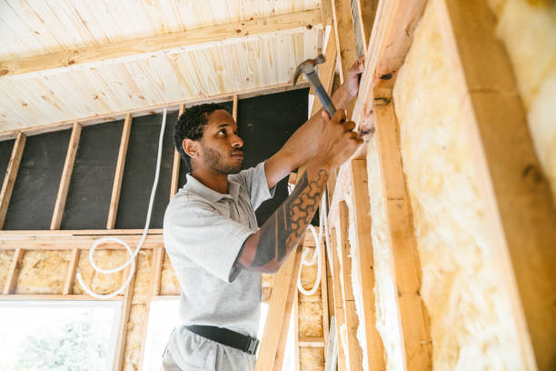 Best Insulation Removal  in Holly Hill, FL