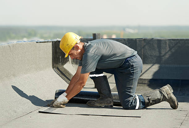 Best Local Insulation Services  in Holly Hill, FL