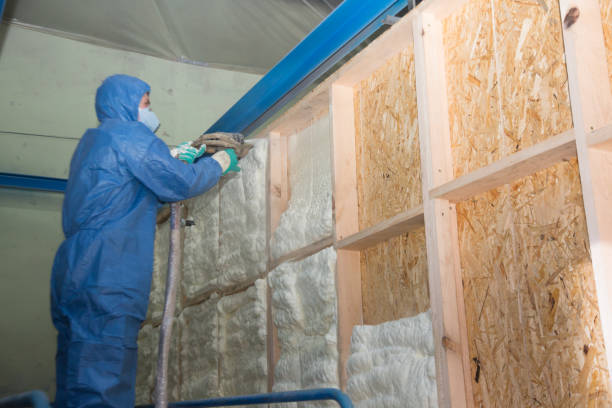 Best Soundproof Insulation Installation  in Holly Hill, FL