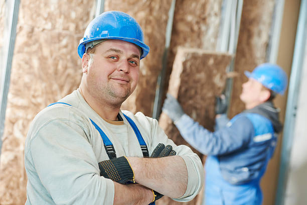 Best Insulation Replacement Services  in Holly Hill, FL